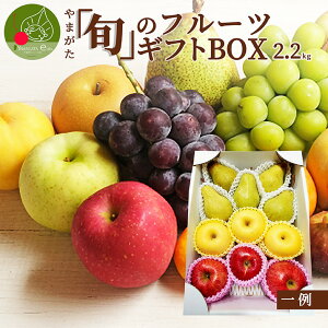 _A͂!^ R`elabu{ṽt[cMtgBOX 2.2kg R`Y ʕ  v[g 킢  lC t[c lߍ킹   { 蕨 Ԃ a j 