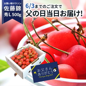 ＼父の日 早割 今なら当日お届けOK!／ さくらんぼ 佐藤錦 贈答品 500g×1パック メッセージカード付 秀品 L玉 のし 食べ物 人気 送料無料 同梱不可 産地直送 山形県産 父の日 お中元