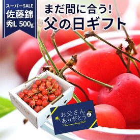 【スーパーSALEオススメ！】＼父の日 ギフト まだ間に合う！／ さくらんぼ 佐藤錦 贈答品 500g×1パック メッセージカード付 秀品 L玉 のし 食べ物 人気 送料無料 同梱不可 産地直送 山形県産 父の日 お中元