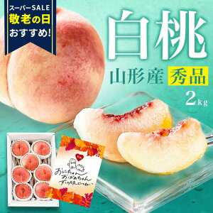 yX[p[SALE߁Iz_A͂!^  2kg 7ʑO R`Y hV̓ Mtg  d  Gi p 蕨 v[g Yn   쒆  