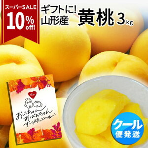 yX[p[SALE10%OFFz_hV̓߁I^ R`Y Gi  3kgi10`16ʑOjN[ hV̓  c Mtg ϔ  R`Yn d  
