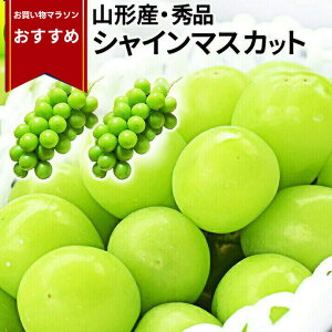 y}\߁Iz_A͂I^ VC}XJbg 1.2kg 2`3[ Ԃǂ R`Y Gi Ȃ [ 嗱 Mtg ʕ ϔ Yn Ε N s lOK 