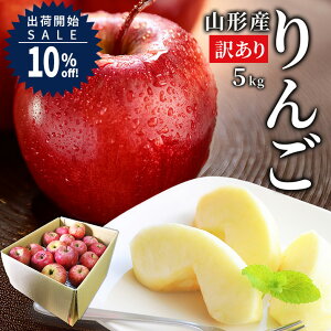 yo׊JnSALE10%OFFz_AT邨͂!^  󂠂 5kg  Tӂ T ӂ R`Y Yn S p ƒp 5L W W[X R`甭