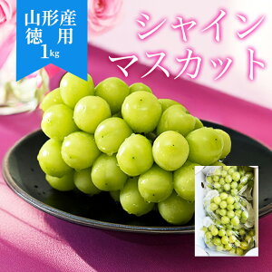 VC}XJbg 󂠂 1kg 2`3[ R`Y Ԃǂ Yn p ƒp 嗱 R`Yn 킯 A 햳  ʕ uhE   ʕ t[c 