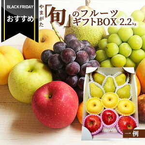 yubNtCf[߁Iz_A͂!^ R`elabu{ṽt[cMtgBOX 2.2kg R`Y ʕ  v[g 킢  lC t[c lߍ킹  