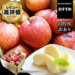 yubNtCf[߁Iz_ATӂ͂I^  󂠂 10kg  Tӂ T ӂ R`Y Yn S p ƒp 10L  