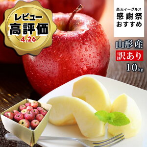 yC[OXӍՂ߁Iz_ATӂ͂I^  󂠂 10kg  Tӂ T ӂ R`Y Yn S p ƒp 10L  ӂ 