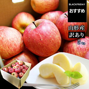 yubNtCf[߁Iz_ATӂ͂!^  󂠂 5kg  Tӂ T ӂ R`Y Yn S p ƒp 5L W W[