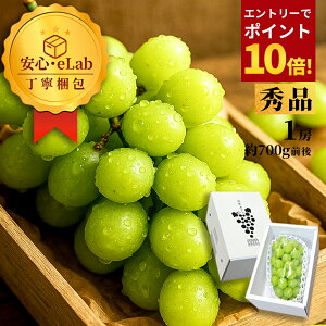 yGg?ōP10{Iz _A͂I^ VC}XJbg Gi 1[ 700gȏ Ԃǂ R`Y Gi Ȃ [ 嗱 Mtg ʕ ϔ Yn Ε Mtgp 蕨 