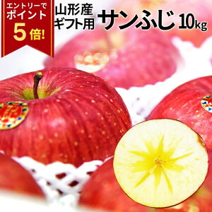 y12/11Gg[P5{Iz _A͂I^   Tӂ 10kg t[c R`Y Gi XerA͔| 񂲑p 񂲉ϔ Mtg 