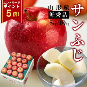 yGg?ōP5{Iz yX[p[SALE10%OFFz_A͂I^ Tӂ 5kg 10kg R`Y 󂠂 ł͕sȕK XY 񂲉ϔ  Yi Y