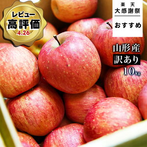 �y�労�ӍՂ������߁I�z�_�������A�T���ӂ����͂����I�^ ��� �󂠂� 10kg �������� �T���ӂ� �T������ �����ӂ� �R�`���Y �Y�n���� �����S �����p ���ƒ�p 10�L�� ���� �ӂ� �Â� ��