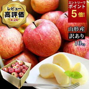 yGg?ōP5{Iz yX[p[SALE߁Iz_ATӂ͂I^  󂠂 10kg  Tӂ T ӂ R`Y Yn S p 