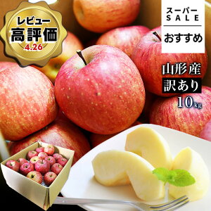 yX[p[SALE߁Iz_ATӂ͂I^  󂠂 10kg  Tӂ T ӂ R`Y Yn S p ƒp 10L  ӂ Â 