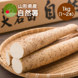 yGg?ōP5{Iz R R`Y 1kg 1.5kg 2kg ܂̂ ˂񂶂 Ƃ