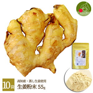 I Y imYj55g×10ܑ Y F Wbp[t ۑob`IVEKAIpE_[AWW[pE_[ I 傤pE_[ ۂۂ