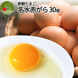 楽天市場 烏骨鶏卵 卵 食品 の通販 楽天市場 烏骨鶏卵 卵 食品 の通販
