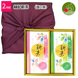 【2024年5月上旬発送・先行予約】 新茶 ギフト 掛川茶 2本セット 100g×2本 化粧箱 日本茶 ギフト 深蒸し茶 退職祝い 詰め合わせ 不老長寿を願う 静岡 退職祝い 誕生日等にオススメ 送料無料 日付指定ok