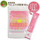 べにふうき茶 粉末スティック 50本入 べにふうき 送料無料 花見 緑茶 静岡県産100% 無農薬 緑茶粉末 紅富貴 国産 お花見 外出対策 グッズ メチル化カテキン 茶カテキン EGCG エピガロカテキンガレート