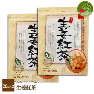 Y Ig 20×2Zbg F{㓌zYIgp eB[pbN ₦ ΍ gS[fOgp̐IgIVEKg 傤g Ig [֑ p