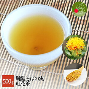 y[֑z؂΂̎ gԒ 500g(100g×5)R` Y kCY Y Y c_[ ̈S؂͒ R` ׂɂ΂  yY lC   N