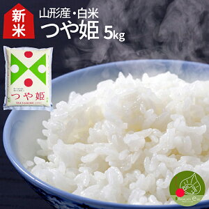 yߘa7NY 10{ \z V P  5kg(5kg×1) ߘa7Nx  R`Y  PV ʍ͔| _ w엿 A Mtg Yn ̂ uh k ii