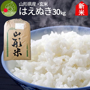 玄米 はえぬき 30Kg」の人気商品一覧・価格比較 - 価格.com 令和7年はえぬき玄米30kg 訳ありB級品売り切り