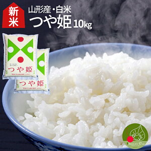 yߘa7N Vė\ 10{z P  10kg(5kg×2) ߘa7Nx  R`Y ʍ͔| _ w엿 A  Mtg Yn ̂ C`[HׂP k ii 