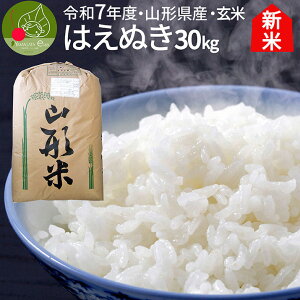 玄米 はえぬき 30Kg」の人気商品一覧 | 安い商品を通販サイトから探す 