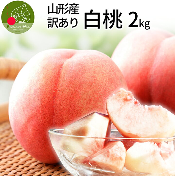 楽天市場 22年8月中旬発送 先行予約 訳あり 山形 白桃 ２ｋｇ ６ １０玉前後 クール便 ちょっと訳ありの桃 固い桃 や 柔らかい桃 を時期に応じてお届け 山形の美味しい桃 硬い桃 品種指定不可 桃 送料無料 果物 フルーツ グルメ ギフトお取り寄せ山形elab