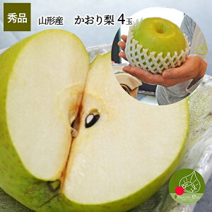 9{  R`Y  4ʓ ̗  ʌׁ̈A撅l Ȃ ފ yz