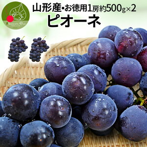 y9{Esz Ԃǂ sI[l 󂠂 2[ 1kg (1[500g) p [ 嗱 1L R`Y ̂肽 Yn Ȃ uhE 킯 A ϔl  ʕ  