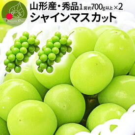 【2024年9月下旬発送開始】 シャインマスカット 秀品 2房（1房約700g以上）秀品 化粧箱入 産地直送 山形県産 お年賀 ギフト 同梱不可 熨斗OK 大粒 ギフト 送料無料 果物 誕生日 残暑見舞い