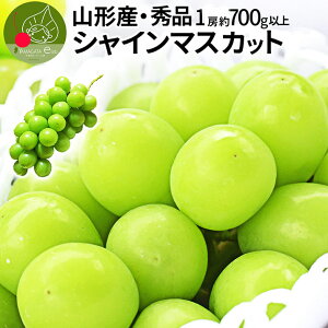 _A͂I^ VC}XJbg Gi 1[ 700gȏ Ԃǂ R`Y Gi Ȃ [ 嗱 Mtg ʕ ϔ Yn Ε Mtgp 蕨 v[g N yY 