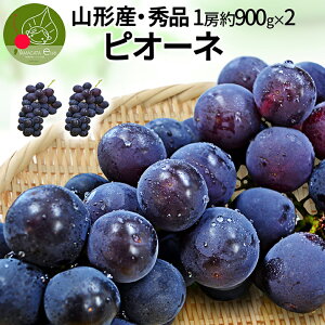 y9{Esz Ԃǂ sI[l 2[ 1.8kgO (1[900g) Gi Mtg [ 嗱 R`Y ̂肽 Yn Ȃ uhE ϔl lOK  v[g 蕨  
