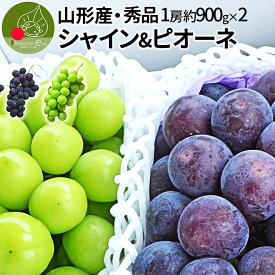 【2024年9月下旬発送開始】 秀品 シャインマスカット ＆ ピオーネ 約1.8kg（約900g×2房） 山形県産 果物 産地直送 化粧箱詰め　ギフト同梱不可熨斗OK※九州 沖縄 離島へは別途送料がかかります 送料無料 誕生日 残暑見舞い