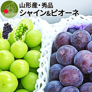 _A͂I^ Ԃǂ VC}XJbg  sI[l 1.5kg (750g×2[) R`Y Gi lߍ킹 Mtg ̂肽 Yn Ȃ Zbg ϔ lOK  v[g 