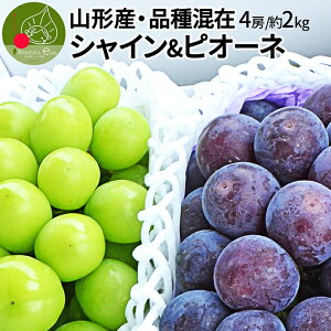 y9{Esz Ԃǂ VC}XJbg sI[l  2kg p R`Y 2L [ ̂肽 Yn Ȃ uhE 킯 A ϔl  ʕ 
