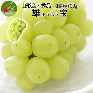 y10{Esz R`Y Ԃǂ Y 1[ (700g) Gi 嗱 ʕ ϔ Yn R`Y N Mtg s lOK  a