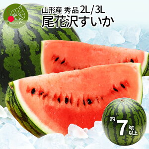 y2026N7{ s\z ԑ XCJ Gi 1 2LE3Li7kgȏj ʂ R`Y ăXCJ ÂăVV  t[c ʕ ԑ򂷂  Z  