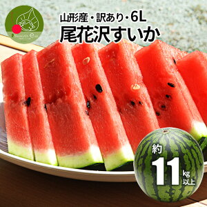 y2026N7{ s\z ԑ  󂠂 6L 1ʁi11kgȏjR`Y P XCJ Yn Lv C XCJ uh yszt[c ʕ ԑ