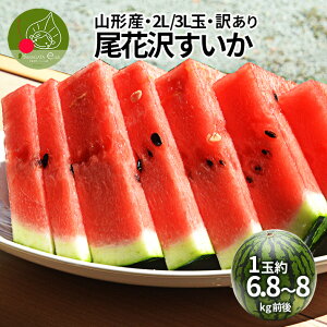 y2026N7{ s\z  󂠂 2L 3L 1 R`Y ԑY 6.8`8kg  XCJ  Yn { t[c ʕ Z YXCJ XCJ uhN ~   