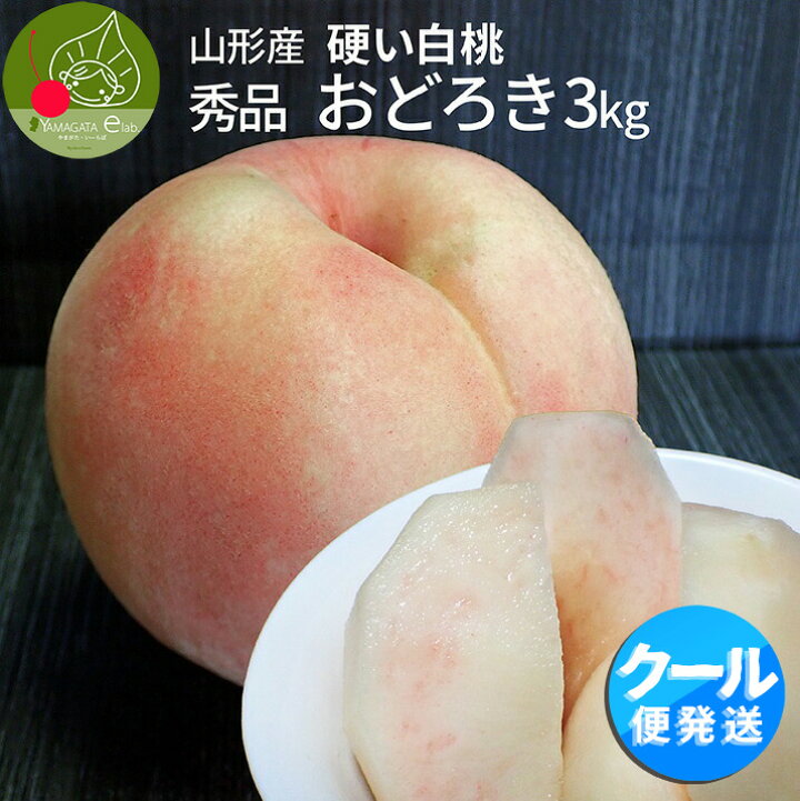 楽天市場】＼枚数限定！最大1000円offクーポン！／【2025年8月下旬発送 