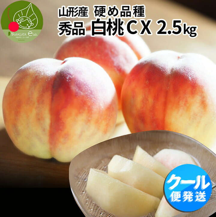 楽天市場】【2025年9月下旬発送・先行早割】 硬い桃 白桃 秀品 白桃CX 