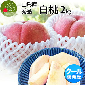 y2025N8{Esz R`Y  2kgi7ʑOjN[ Yn̓   쒆 p̓ 蕨 hV̓ MtgMtg d  yws