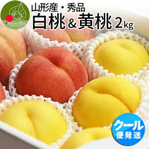 y8{Esz R`Y  &  Gi 2kg 5-9 lߍ킹Yn   쒆 p 蕨 Mtg d   N[ s ws 