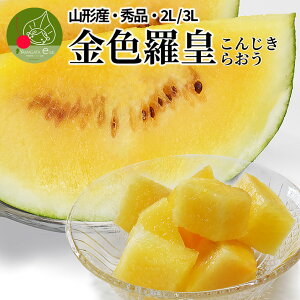 y2026N7{ s\z Fc  2E3L 7`8kgO R`Y ԑY  ~  Mtg v[g 蕨  t[c ʕ