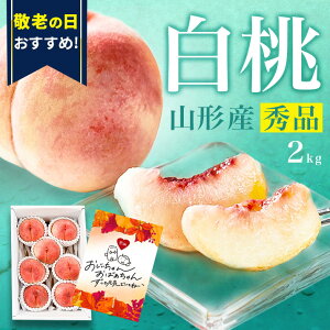 _A͂!^  2kg 7ʑO R`Y  Mtg hV̓   Gi p 蕨 v[g Yn   쒆   j d N[ 