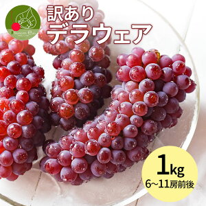 fEFA Ԃǂ 󂠂 Mȏ 1kg 6`11[O N[ uhE  Ȃ p ƒp Yn lC   ʕ t[c ̂Ȃ̉Ԃǂ