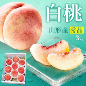 _A͂!^  3kg 9ʁ`11ʑO R`Y Mtg   Gi  p 蕨 v[g Yn   쒆   j d N[ ʕ 